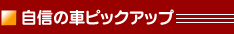自信の車ピックアップ